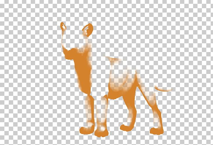 Lion Dog Big Cat PNG, Clipart, Animals, Big Cat, Big Cats, Canidae, Carnivoran Free PNG Download