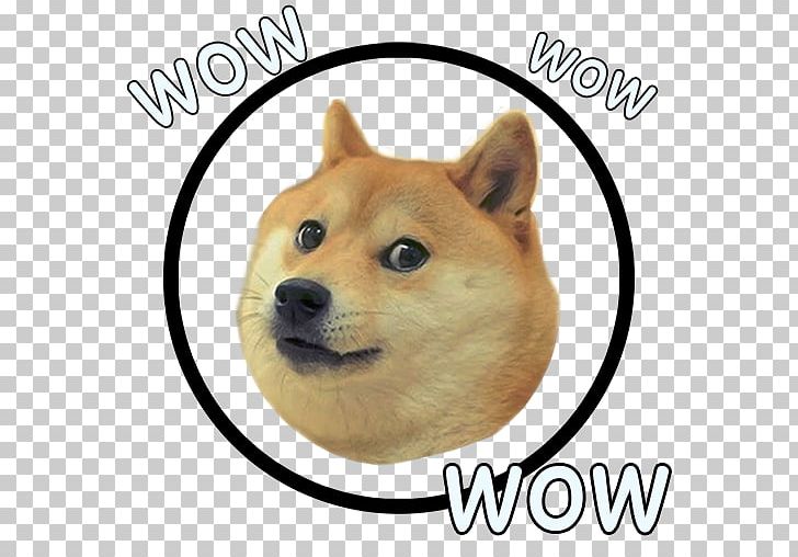 Shiba Inu Dogecoin Doge Run World Of Warcraft PNG, Clipart, Animal, Apk, Aptoide, Carnivoran, Dog Free PNG Download