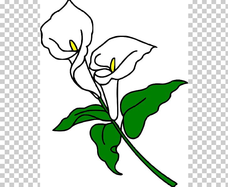 Callalily Arum-lily Easter Lily Flower PNG, Clipart, Art, Artwork, Arumlily, Black And White, Blog Free PNG Download