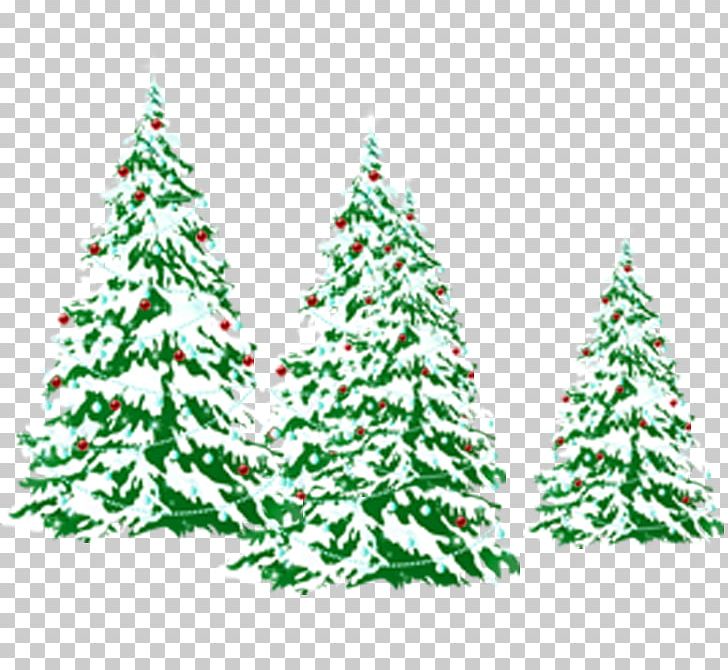 Christmas Tree PNG, Clipart, Christmas, Christmas Card, Christmas Decoration, Christmas Lights, Christmas Ornament Free PNG Download