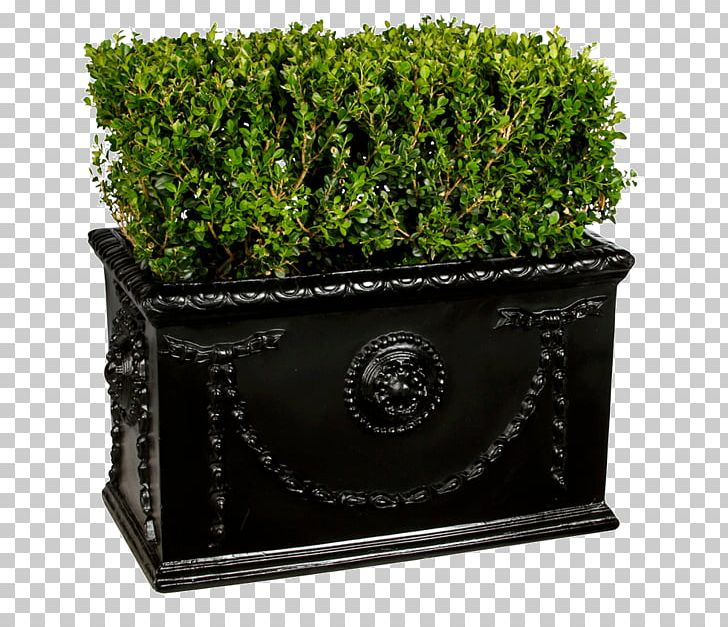 Hedge Box Shrub New York City Plant PNG, Clipart, Box, Flowerpot, Grass, Hedge, Miscellaneous Free PNG Download