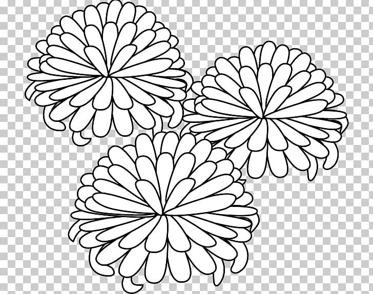 Black And White Line Art Coloring Book PNG, Clipart, Autumn, Black And White, Chrysanthemum Grandiflorum, Circle, Color Free PNG Download
