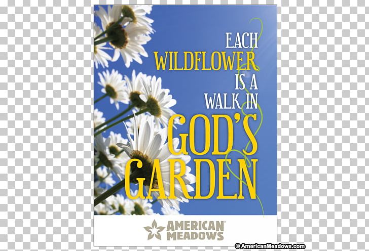 Floral Design Seed Company Flower Butterfly Gardening PNG, Clipart, Advertising, Butterfly Gardening, Coneflower, Cut Flowers, Floral Design Free PNG Download