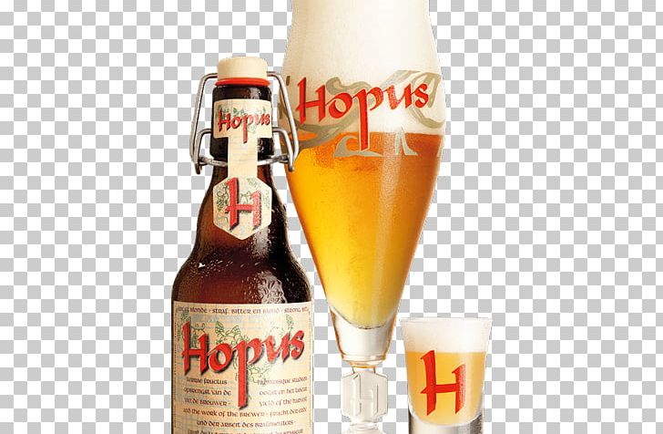 Lefebvre Brewery Beer Hopus Belgian Cuisine PNG, Clipart, Ale, Beer, Beer Bar, Beer Bottle, Beer Brewing Grains Malts Free PNG Download