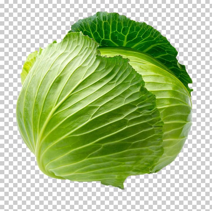 Cabbage Leaf Vegetable Blanching PNG, Clipart, Cabbage, Cauliflower, Chinese Cabbage, Collard Greens, Cruciferous Vegetables Free PNG Download