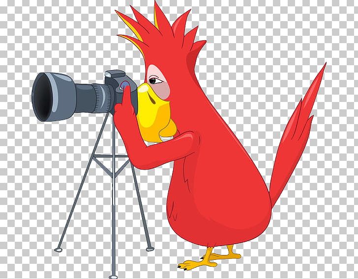 Photographer Stock Photography PNG, Clipart, Bird, Camera, Camera Icon, Camera Lens, Camera Logo Free PNG Download
