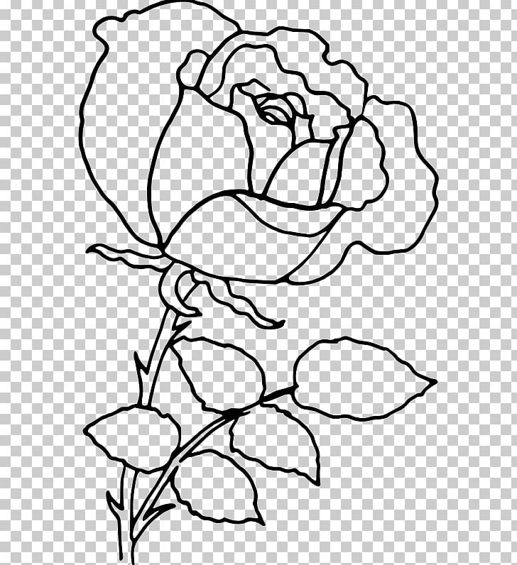 Rose Drawing PNG, Clipart, Area, Art, Artwork, Based Line Drawing, Black Free PNG Download