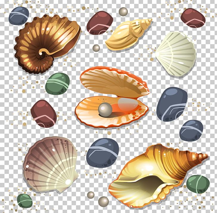 Seashell Conch Scalable Graphics PNG, Clipart, Clams Oysters Mussels And Scallops, Cockle, Conch Blowing, Conchology, Conch Shell Free PNG Download