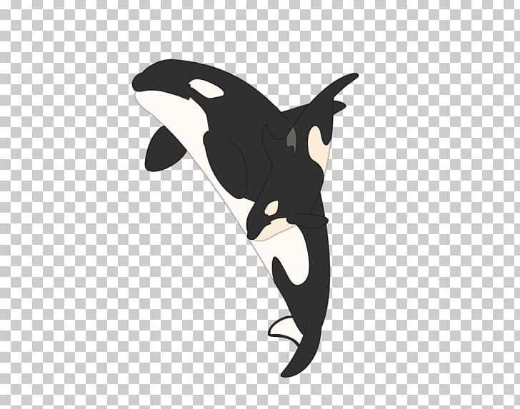 Southern Resident Killer Whales Cetaceans Marine Mammal PNG, Clipart, Beak, Carnivoran, Dog Like Mammal, Dolphin, Drawing Free PNG Download