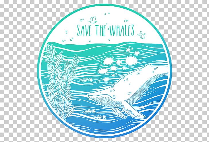 Sticker Whale Decal T-shirt Adhesive PNG, Clipart, Adhesive, Animals, Aqua, Area, Brand Free PNG Download