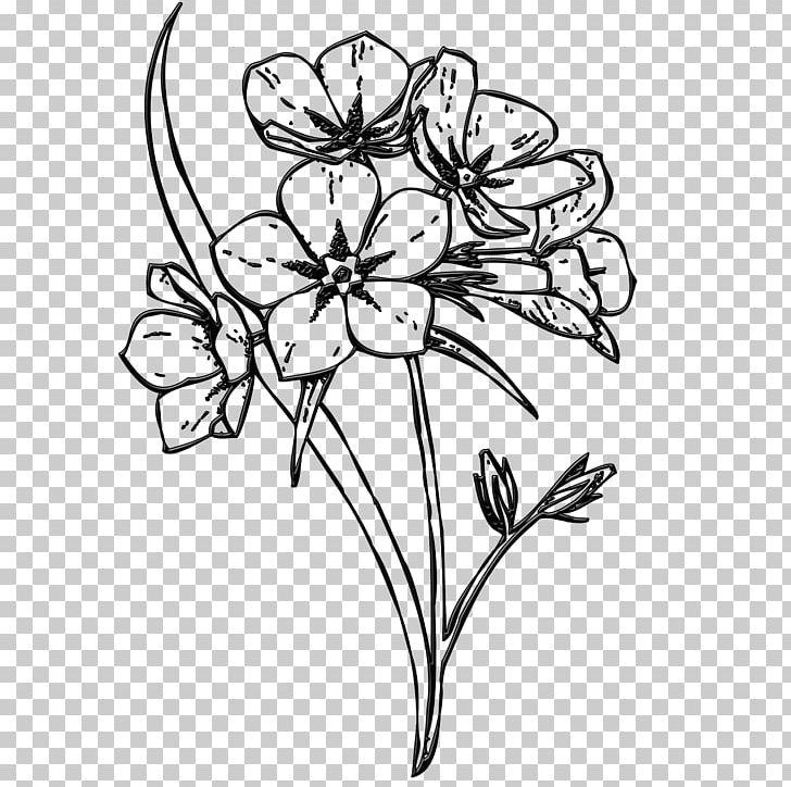 Floral Design Flower Drawing PNG, Clipart, Art, Artwork, Black And White, Branch, Bud Free PNG Download