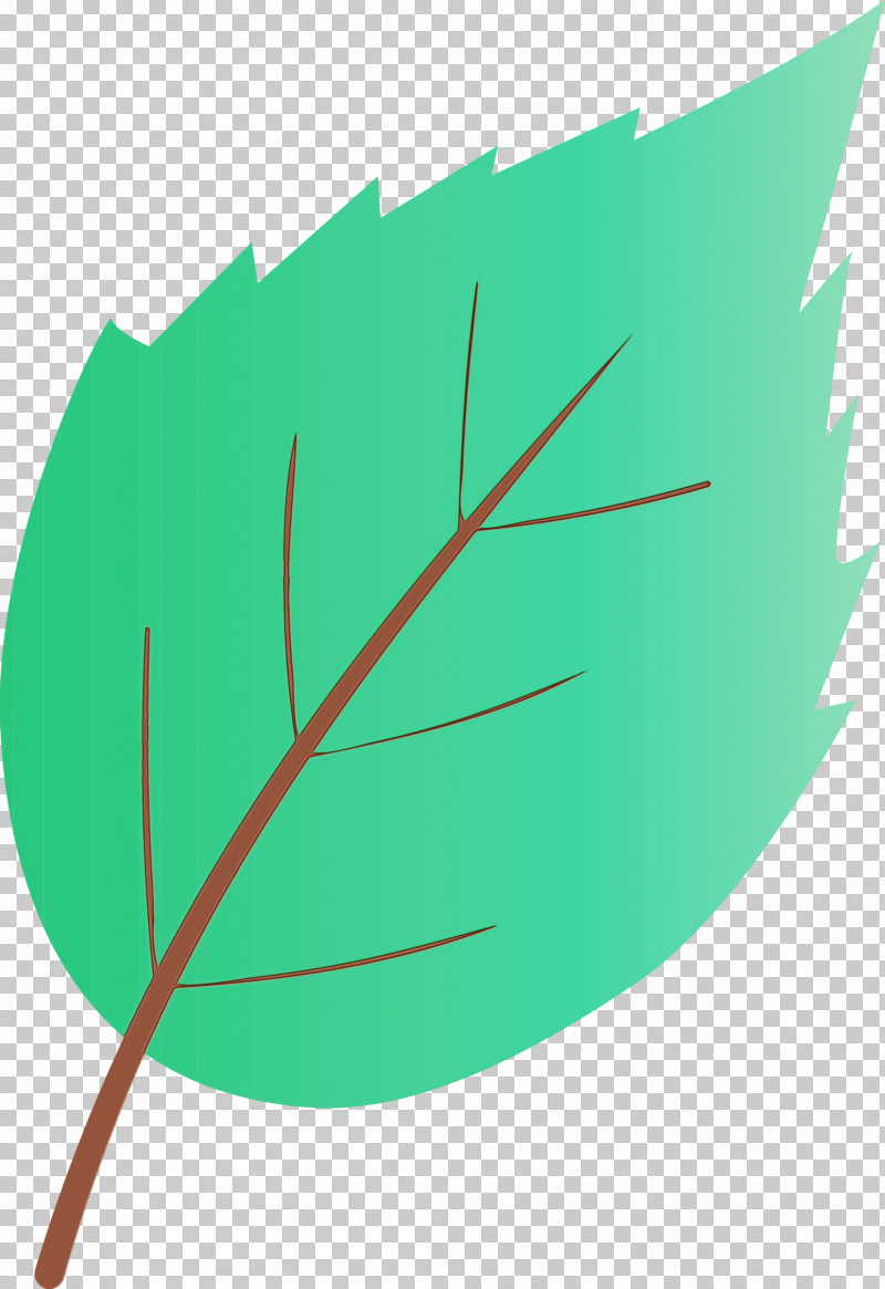 Leaf Green Plant Tree PNG, Clipart, Green, Leaf, Paint, Plant, Tree Free PNG Download