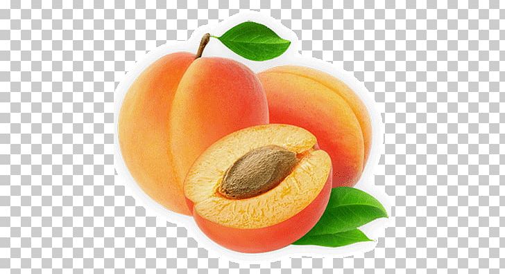 Apricot Oil Apricot Kernel Lotion PNG, Clipart, Apricot, Apricot Kernel, Apricot Oil, Avocado Oil, Castor Oil Free PNG Download