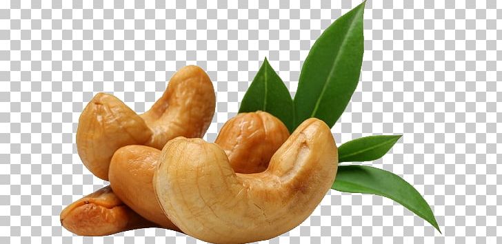Cashew PNG, Clipart, Cashew Free PNG Download