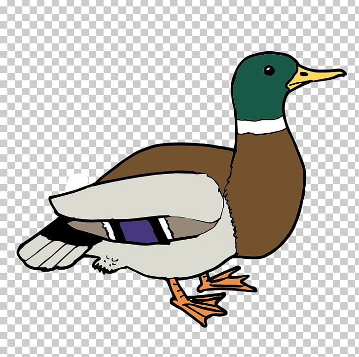 Ducks PNG, Clipart, Artwork, Beak, Bird, Blue Duck, Desktop Wallpaper Free PNG Download