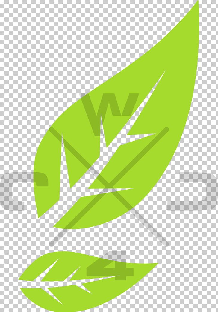 Leaf Green PNG, Clipart, Grass, Green, Leaf, Line, Plant Free PNG Download