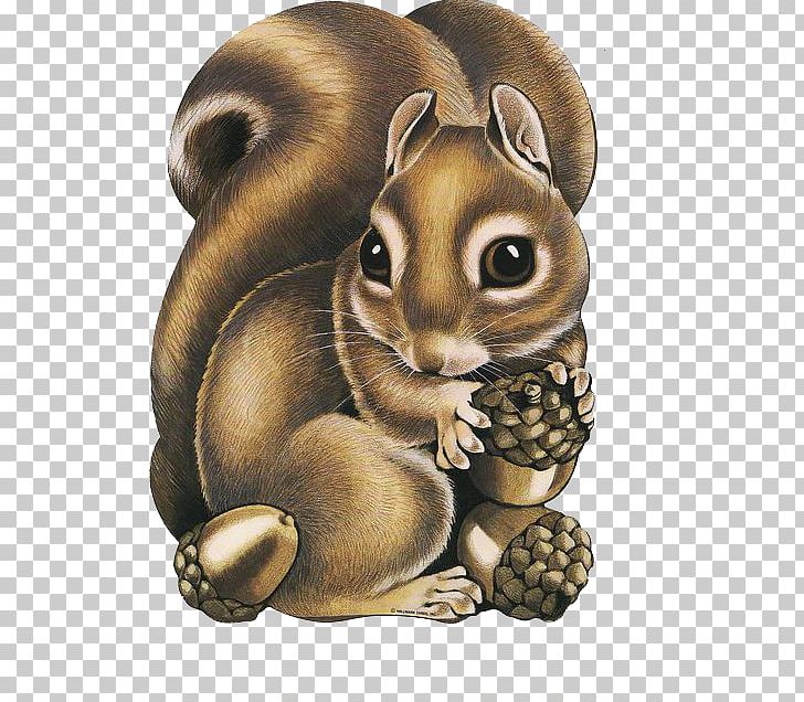 Squirrel Raccoon Paper Thanksgiving PNG, Clipart, Animals, Cartoon, Cartoon Squirrel, Creative, Cute Squirrel Free PNG Download