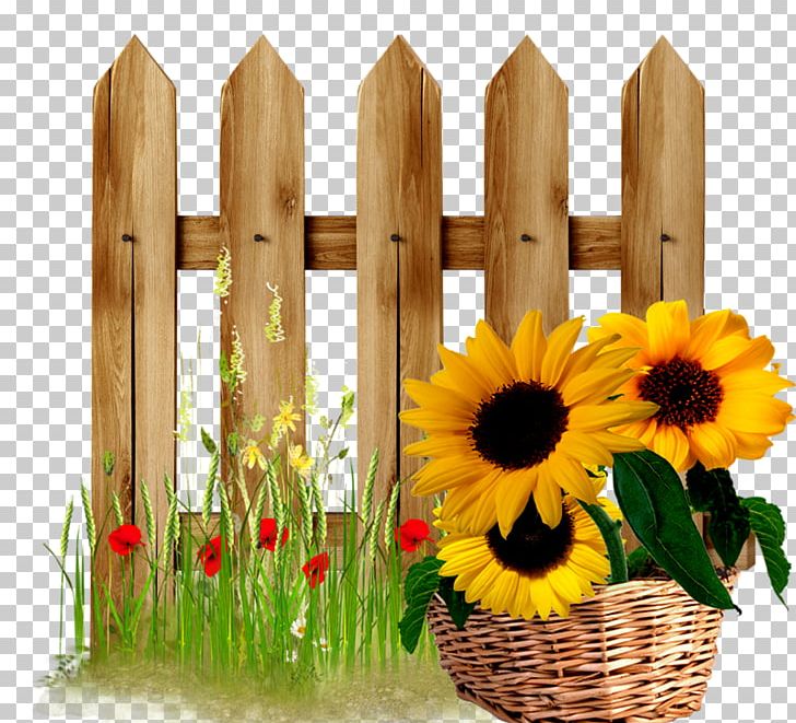 Fence Gate Flower Garden PNG, Clipart, Baskets, Cartoon Fence, Cut Flowers, Daisy Family, Door Free PNG Download