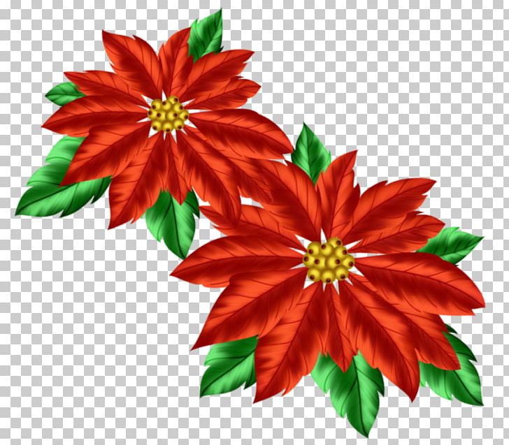 Christmas Decoration Poinsettia PNG, Clipart, Blog, Christmas, Christmas Decoration, Christmas Ornament, Christmas Tree Free PNG Download