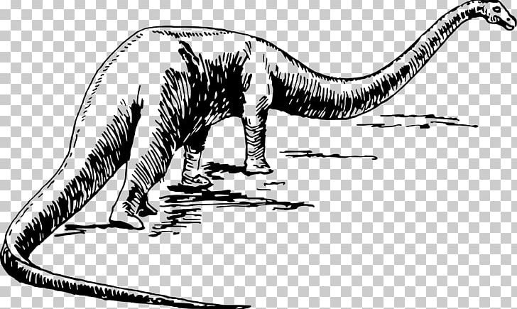 Dinosaur Drawing Sauropoda Brontomerus PNG, Clipart, Art, Artwork, Black And White, Brontomerus, Carnivoran Free PNG Download