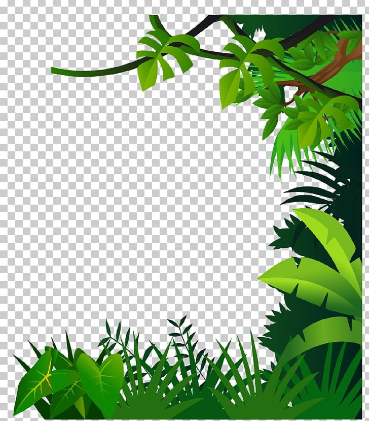 Drawing Jungle PNG, Clipart, Art, Border, Branch, Clip Art, Desktop Wallpaper Free PNG Download