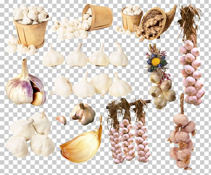 Garlic Condiment Spice PNG, Clipart, Ajoajo, Commodity, Condiment, Encapsulated Postscript, Flavor Free PNG Download