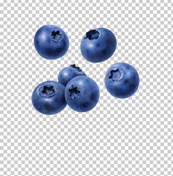 Juice Blueberry Muffin Tart PNG, Clipart, Bead, Berry, Bilberry, Blackberry, Blue Free PNG Download