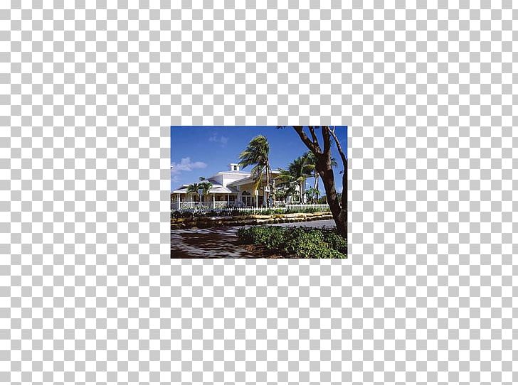 Land Lot Stock Photography Frames Tree PNG, Clipart, Kokopo Beach Bungalow Resort, Land Lot, Nature, Photography, Picture Frame Free PNG Download