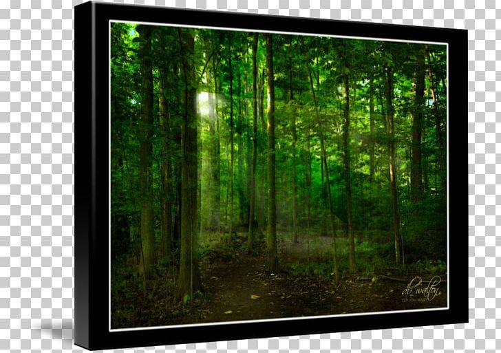 Television Set Biome Desktop Frames PNG, Clipart, Biome, Computer, Computer Wallpaper, Desktop Wallpaper, Ecosystem Free PNG Download