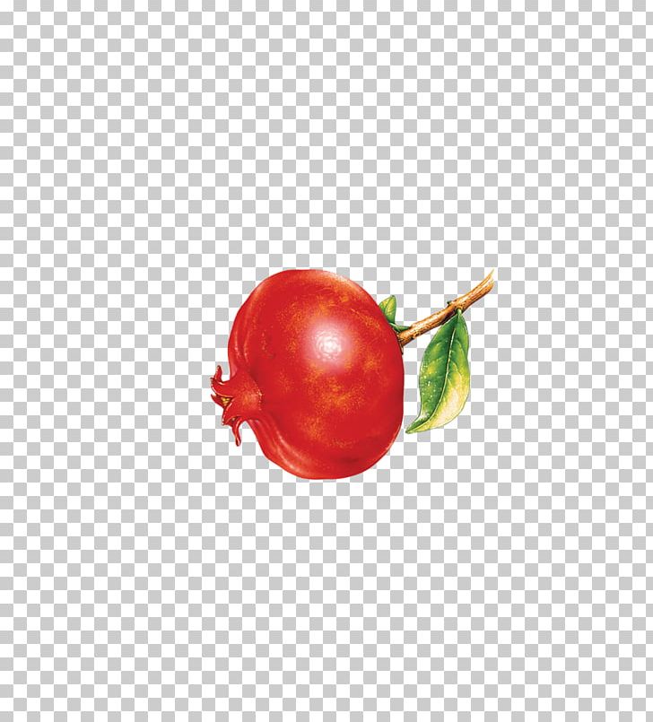 Tomato Cherry Red Fruit PNG, Clipart, Cartoon Pomegranate, Cherry, Fig, Fig Fruit, Food Free PNG Download