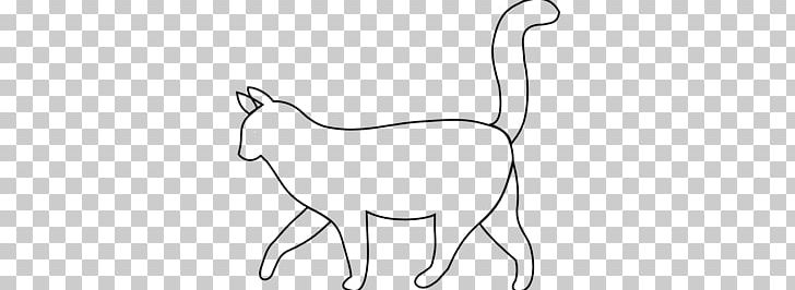 Cat Kitten Dog PNG, Clipart, Big Cats, Black, Carnivoran, Cat Like Mammal, Dog Like Mammal Free PNG Download