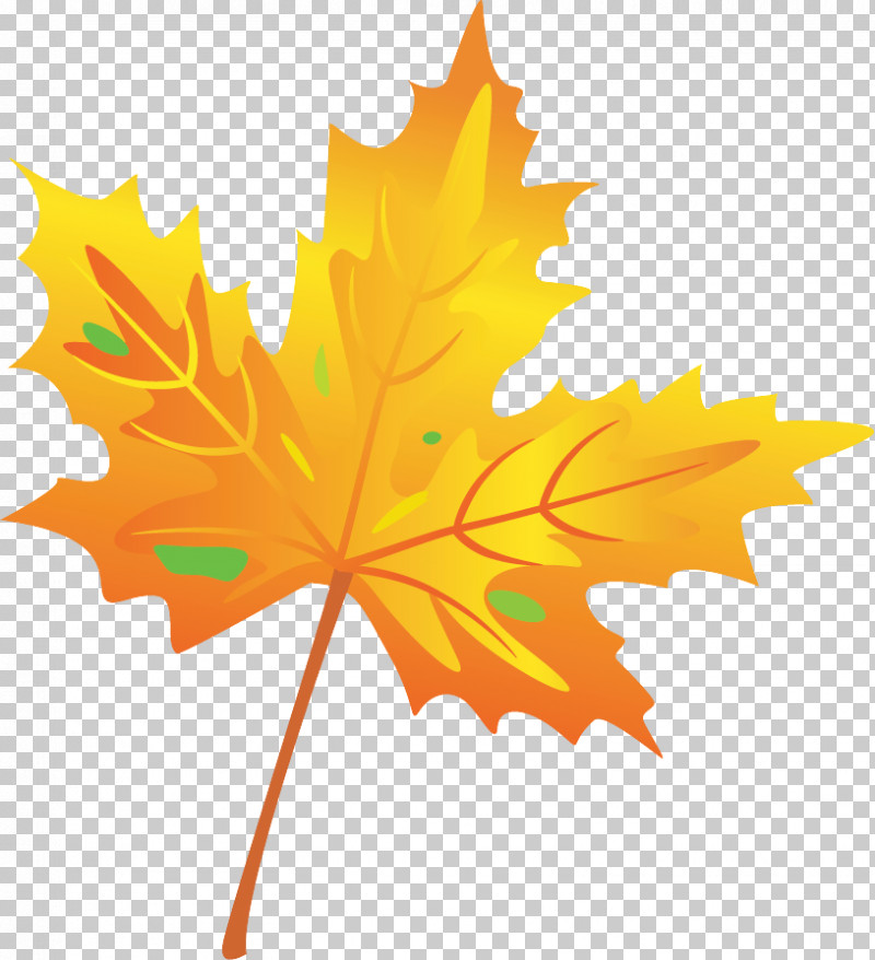 Orange PNG, Clipart, Biology, Daytime, Joulukatu, Julklappsrim, Leaf Free PNG Download