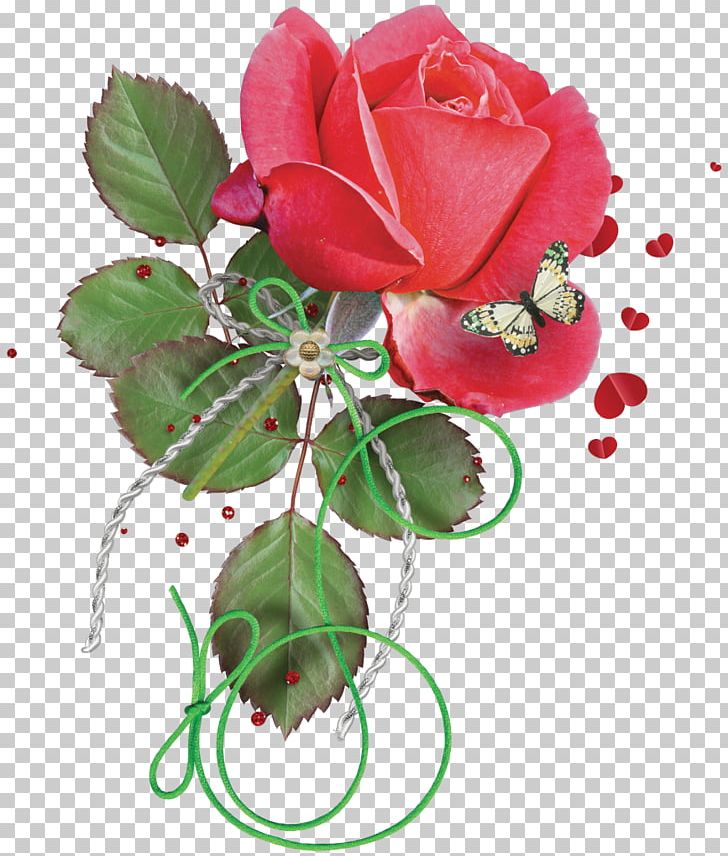 Flower Centifolia Roses Garden Roses PNG, Clipart, Centifolia Roses, Cut Flowers, Desktop Wallpaper, Floral Design, Floristry Free PNG Download