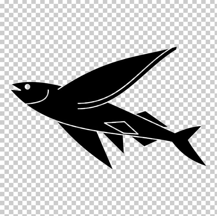 Flying Fish Drawing PNG, Clipart, Bird, Black And White, Cartoon, Computer Icons, Drawing Free PNG Download