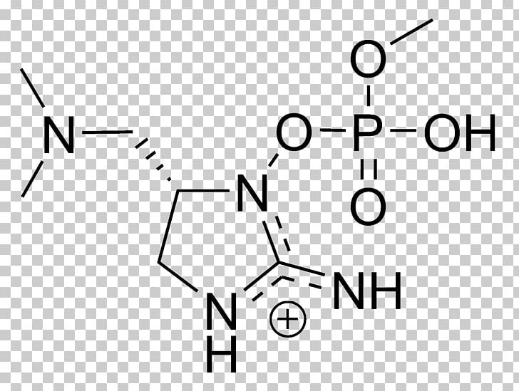 Anatoxin-a(S) Chemical Substance Carboxylic Acid PNG, Clipart, Acid, Amine, Anatoxina, Angle, Area Free PNG Download