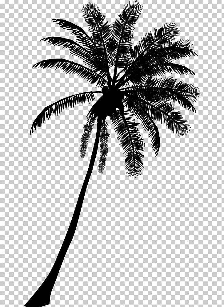 Arecaceae Drawing PNG, Clipart, Arecaceae, Arecales, Art, Black And White, Borassus Flabellifer Free PNG Download