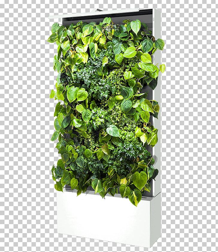 Green Wall Sustainable Design Parede Flowerpot PNG, Clipart, Environment, Flowerpot, Grass, Green Wall, Herb Free PNG Download