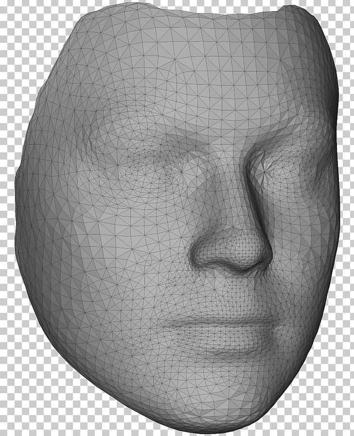 Nose Face Polygon Mesh 3D Modeling Three-dimensional Space PNG, Clipart, 3d Computer Graphics, 3d Modeling, Black And White, Cmake, Eos Free PNG Download