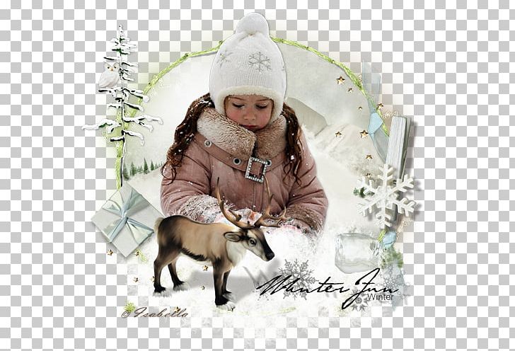 Reindeer Angelu's December Collection Christmas Ornament Winter PNG, Clipart, Angelus December Collection, Cartoon, Christmas, Christmas Ornament, Fur Free PNG Download