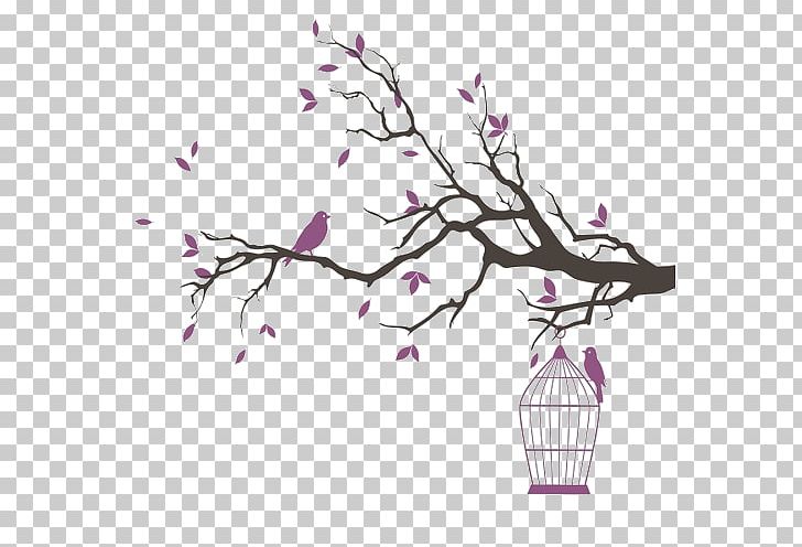 Birdcage Drawing PNG, Clipart, Animals, Bird, Birdcage, Blossom, Borders And Frames Free PNG Download