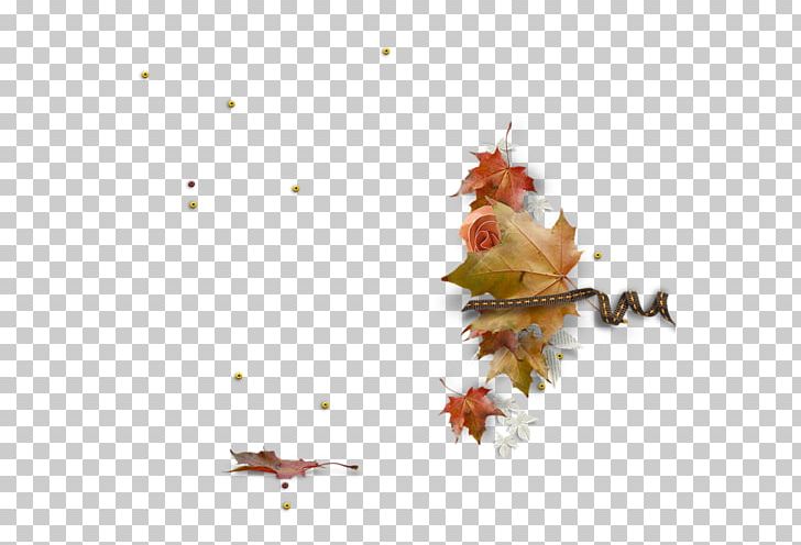 Desktop Maple Leaf Sketch PNG, Clipart, Art, Autumn, Branch, Chan, Computer Wallpaper Free PNG Download