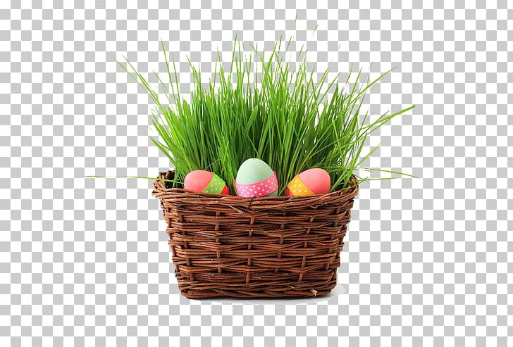 Easter Bunny Easter Egg Wish Egg Hunt PNG, Clipart, Basket, Basket Of Apples, Commodity, Easter, Easter Basket Free PNG Download