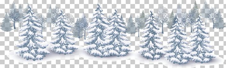 Winter Euclidean Snow PNG, Clipart, Blizzard, Blue, Christmas, Conifer, Creat Free PNG Download