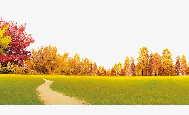 Autumn Scenery PNG, Clipart, Autumn, Autumn Clipart, Autumn Scenery, Fall, Ginkgo Free PNG Download