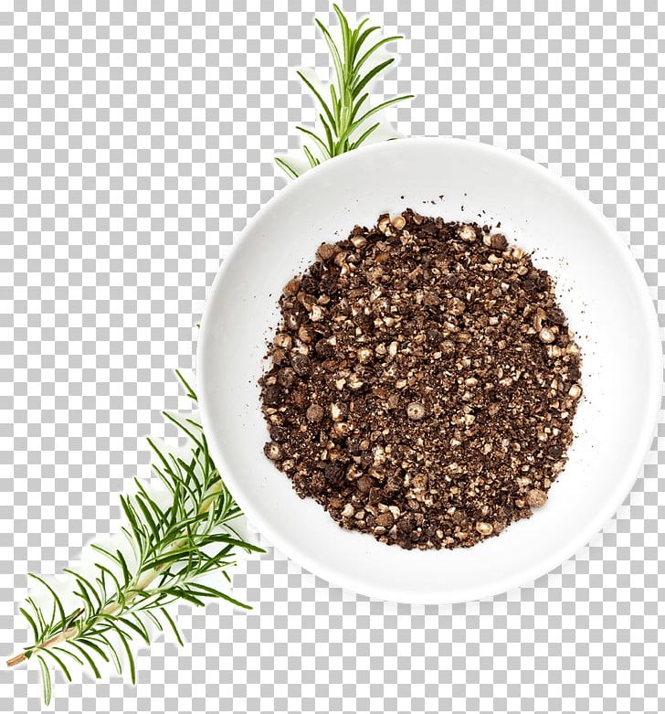 Black Pepper Extract Seasoning Cup Noodle PNG, Clipart, Black Pepper, Black Pepper Extract, Corporate Banner, Cup, Cup Noodle Free PNG Download