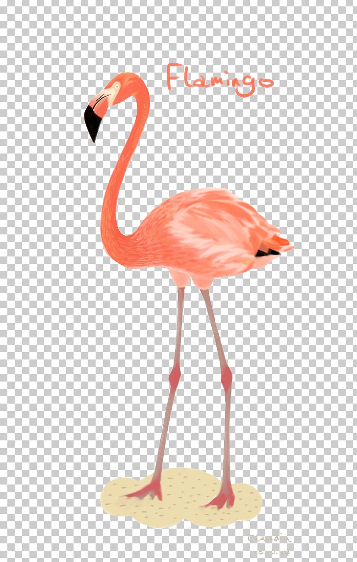 Flamingos Bird Illustration PNG, Clipart, Animals, Back, Beak, Bird, Cartoon Flamingo Free PNG Download