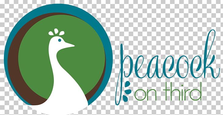 Peacock On Third Logo Of NBC Graphic Design PNG, Clipart, Animals, Art, Bardstown, Beak, Brand Free PNG Download