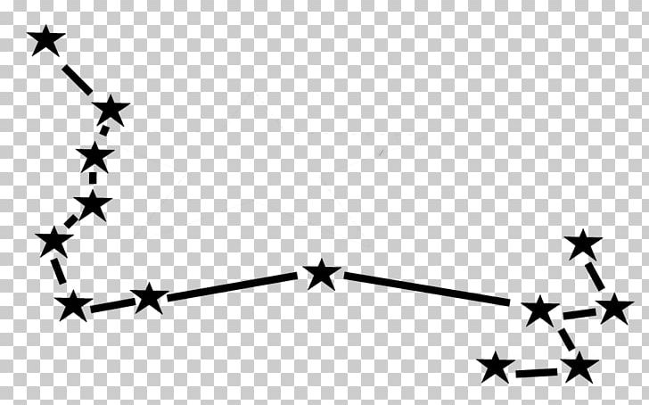 Pole Star Polaris Night Sky PNG, Clipart, 2018, Angle, Astronomy, Black And White, Branch Free PNG Download