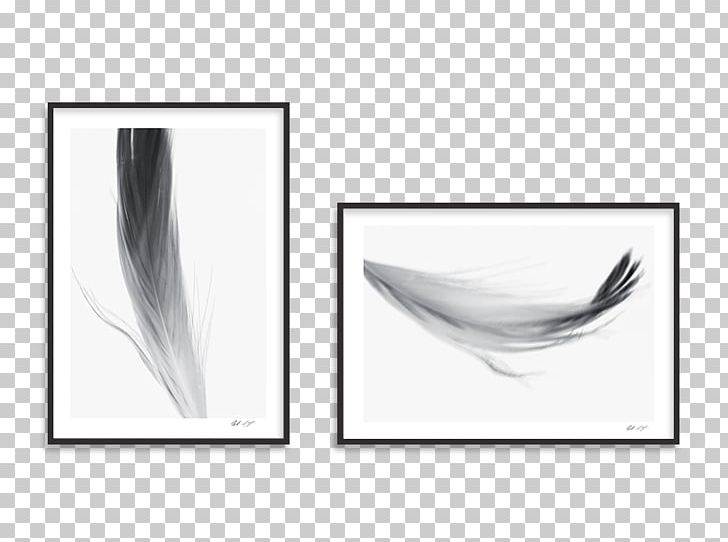 Rectangle Feather Product Design PNG, Clipart, Angle, Animals, Black And White, Desire, Feather Free PNG Download