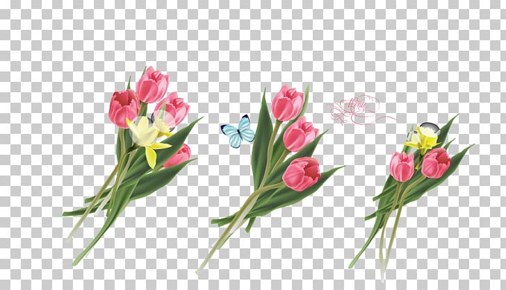 Tulip Flower Lilium PNG, Clipart, Bud, Colored Vector, Color Splash, Cut Flowers, Designer Free PNG Download
